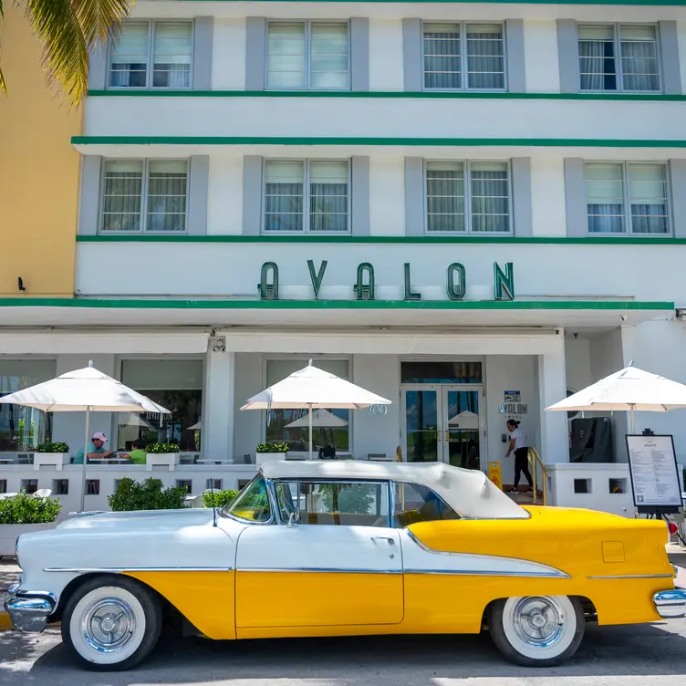 Avalon By Day, Miami Beach, FL