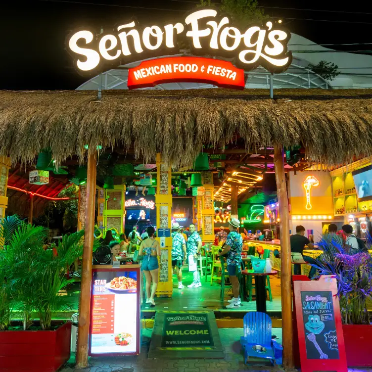 Señor Frog's -  Playa del Carmen Quinta Avenida，ROOPlaya del Carmen