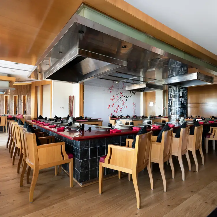 Interior - Benihana Restaurant Abu Dhabi Abu Dhabi