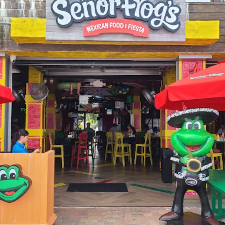 Senor Frogs hollywood beach - Señor Frog's Hollywood Beach，FLHollywood