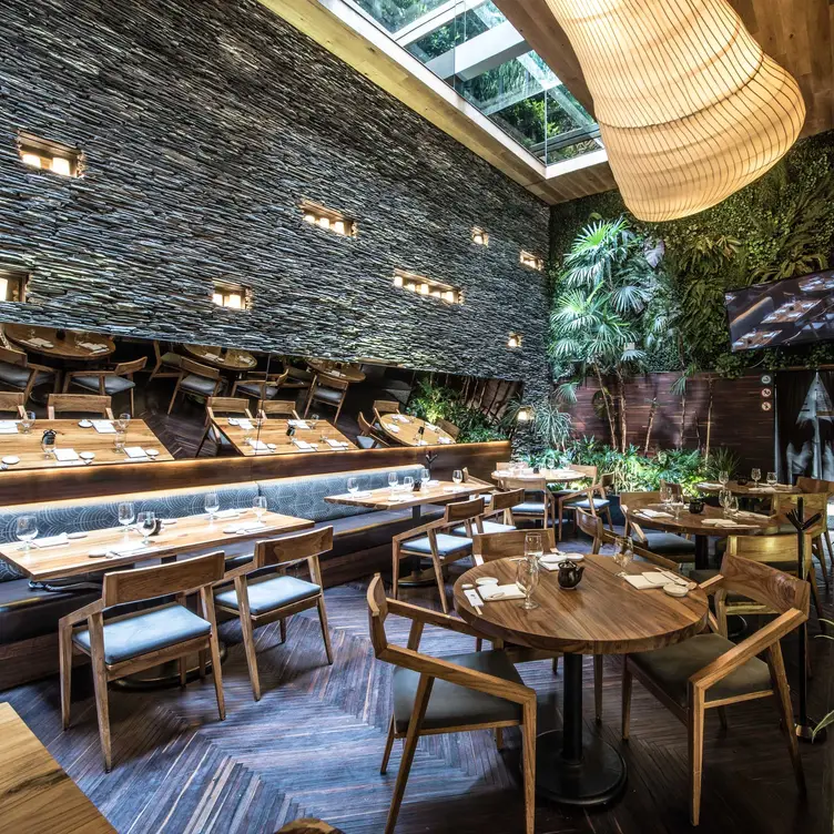 Interior Nobu Polanco - Nobu -Polanco，CDMXM�éxico