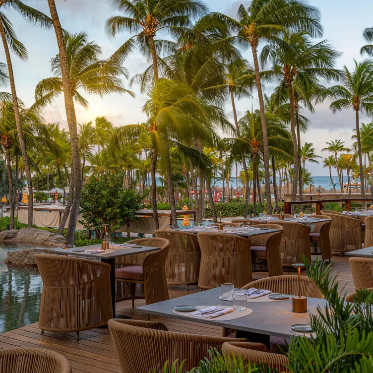 Newly renovated Sunset Grille at Hilton Aruba - Sunset Grille Aruba Palm Beach