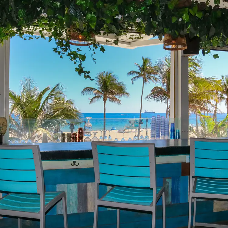 Stunning rooftop views of Fort Lauderdale Beach. - LaPlaya Rooftop Restaurant and Bar FL Fort Lauderdale