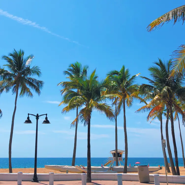 Fort Lauderdale Beach Views - Bo's Beach，FLFort Lauderdale