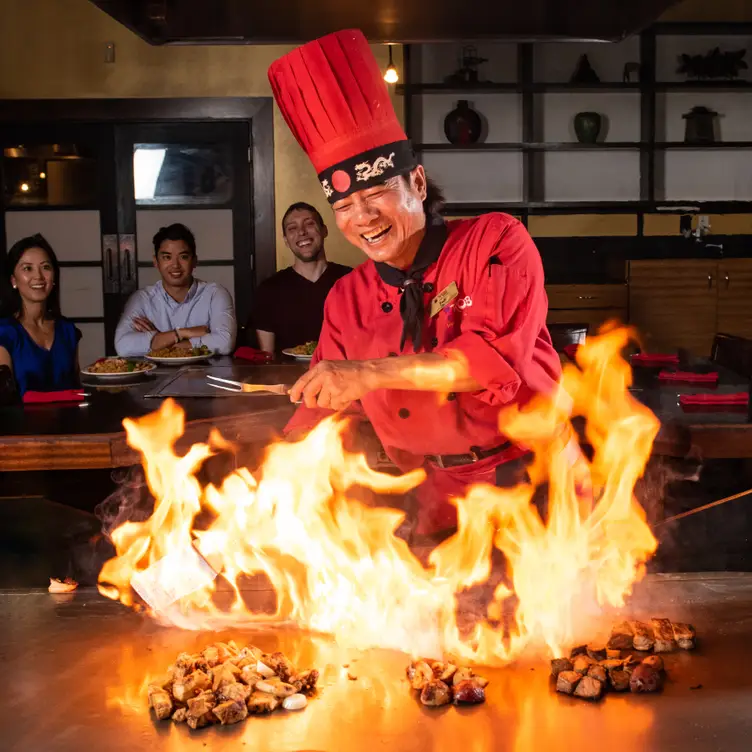 Kobe Japanese Steakhouse - Dale Mabry, Tampa, FL