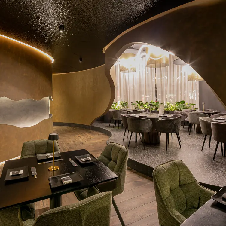 PLAZA EL DORADO - DOMU SUSHI BAR, Boca del Río, VER