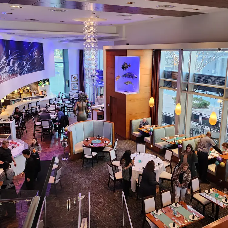 Upper dining room & bar Upper dining room & bar - PassionFish - Reston, Reston, VA
