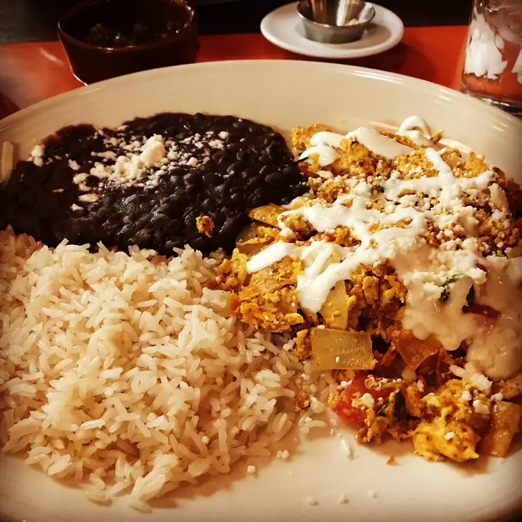 Meso MayaKress Restaurant Fort Worth, TX OpenTable