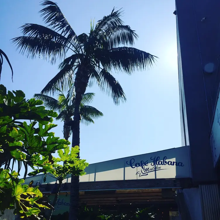 Cafe Habana Restaurant Malibu, CA OpenTable
