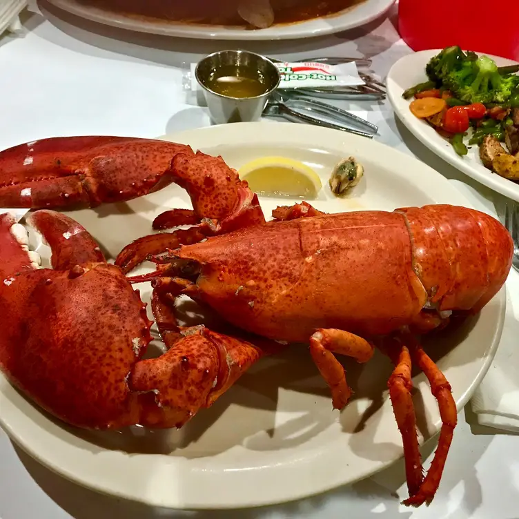 Restaurante Lobster House Seafood Freehold Freehold, , NJ OpenTable