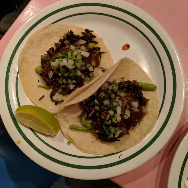 Taqueria Amor Manayunk Restaurant Philadelphia, PA OpenTable