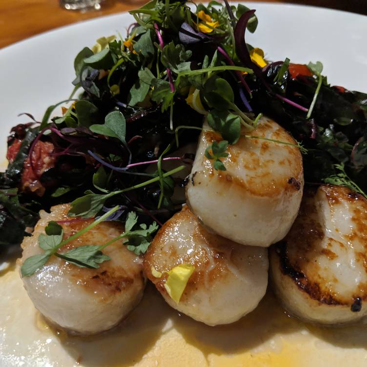 Restaurants Having Christmas Dinner Tucson Az 2022 Gold Restaurant - Tucson, Az | Opentable