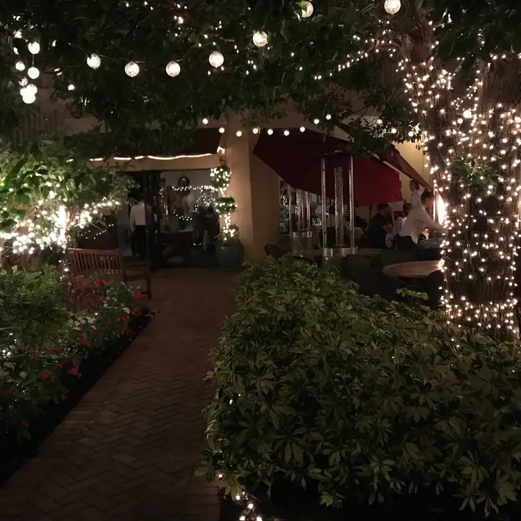 Alexander's Restaurant Naples, FL OpenTable