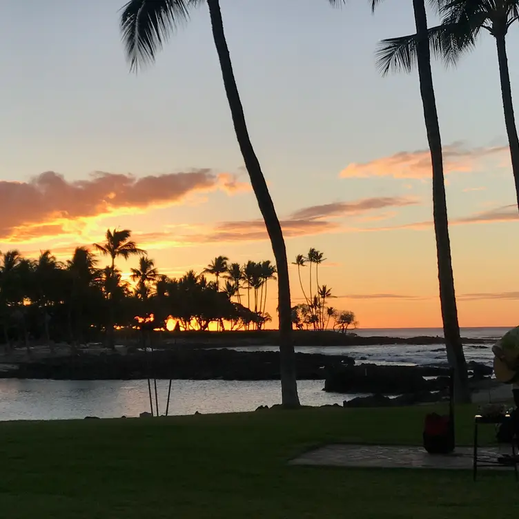 Brown s Beach House The Fairmont Orchid Kohala Coast