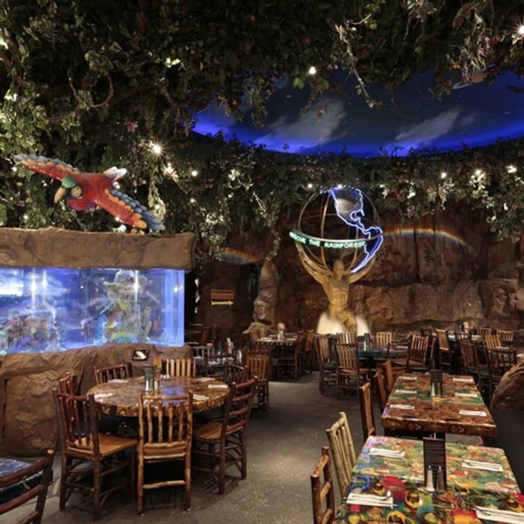 Rainforest Cafe Boston Burlington Restaurant Burlington Ma Opentable
