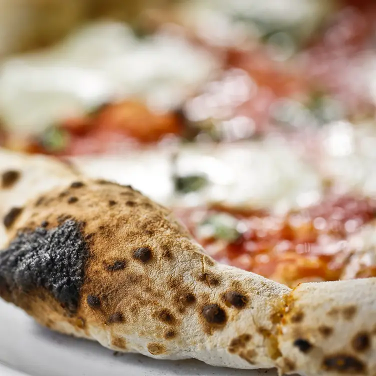 Pizza Republica Denver Downtown Updated 2024, Italian