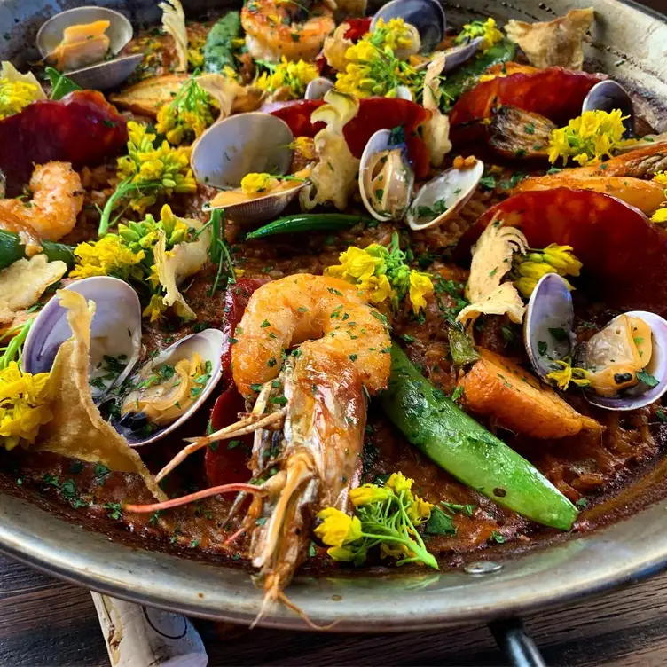 COQUETA Napa Valley Updated 2024, Spanish Restaurant in Yountville, CA