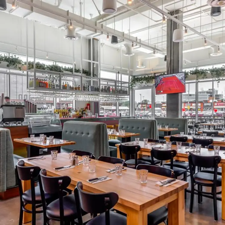 Bacaro TMR Updated 2024, Pizzeria in Montréal, QC