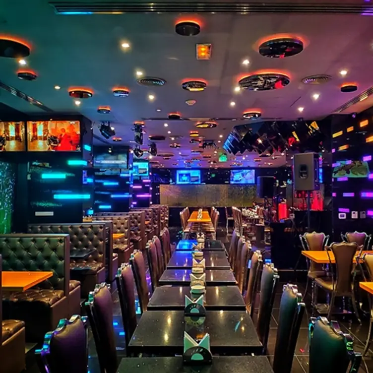 COOCHINI Restaurant & Bar, Dubai, Dubai