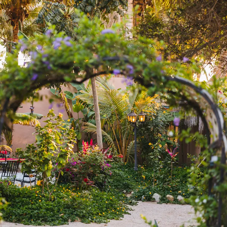 La Jima Mezcal Garden, El Pescadero, BCS