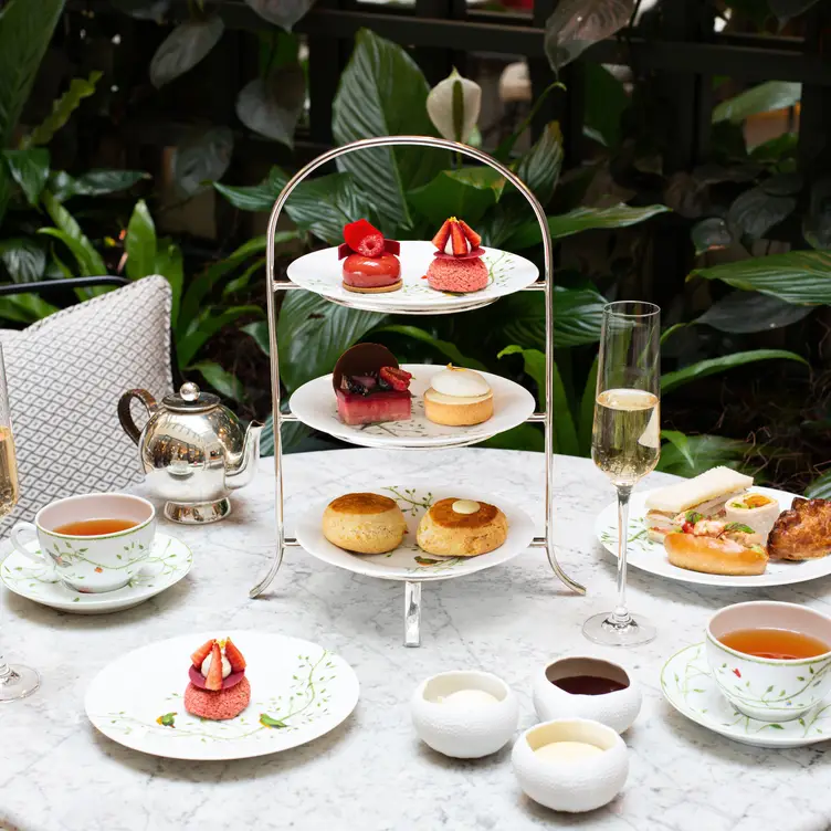 Palm Court Afternoon Tea - - Galvin Bar, London, 