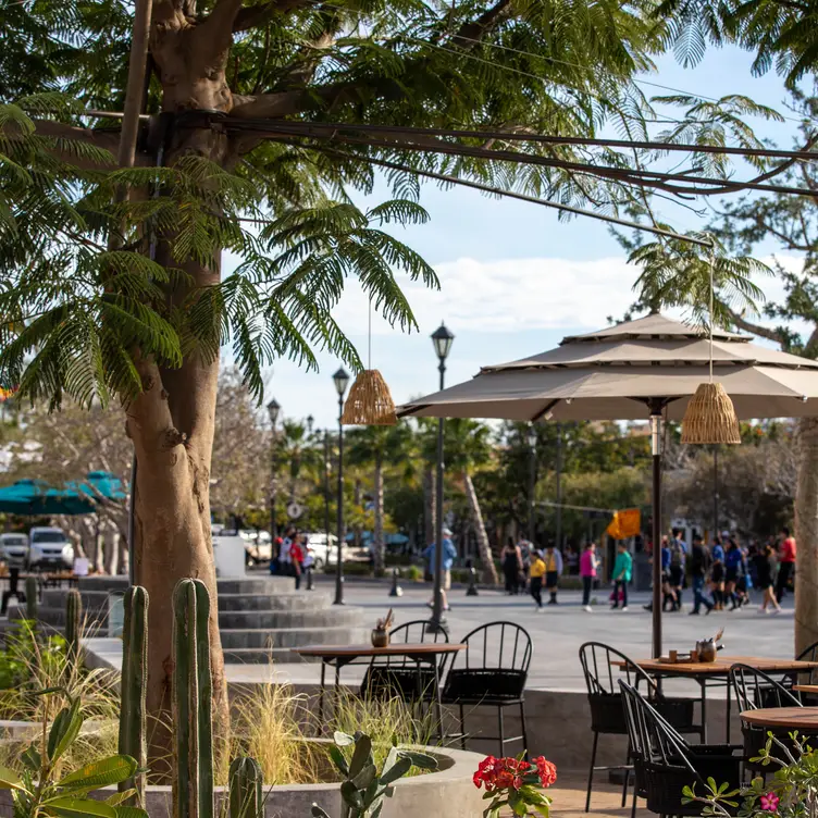 Yumana Kitchen - Updated 2024, Regional Mexican Restaurant in San José ...
