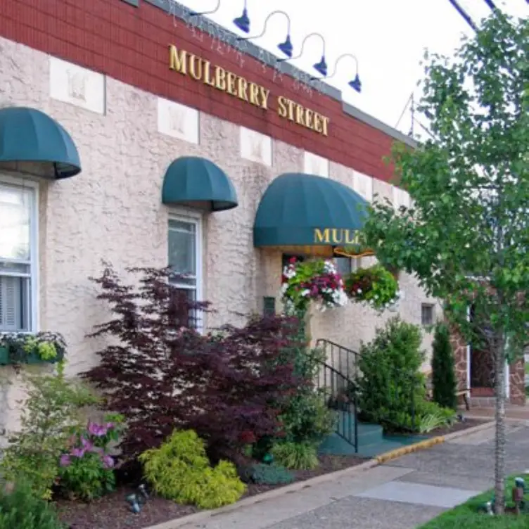 Mulberry Street Restaurant NJ Woodbridge