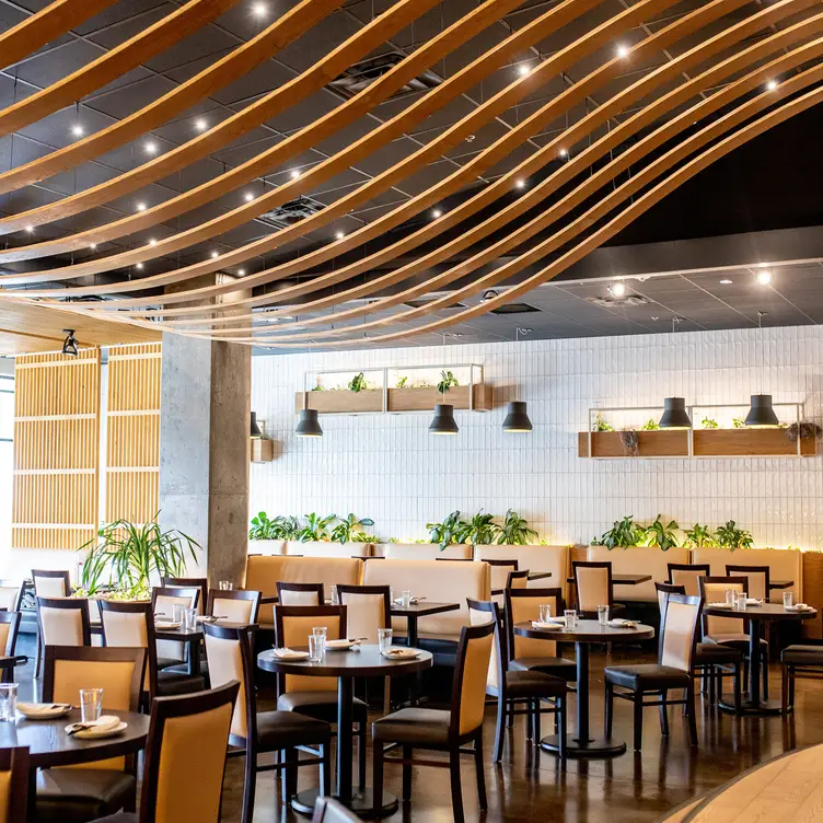 1618 Asian Fusion Updated 2024, Asian Restaurant in Austin, TX