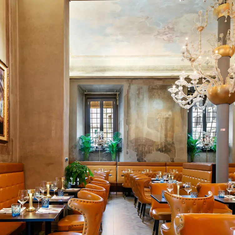 Ciro Sons Restaurant Florence Florence OpenTable