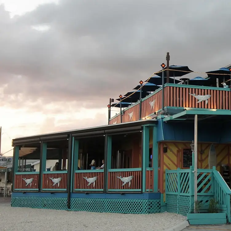 The Whale, Fort Myers Beach, FL