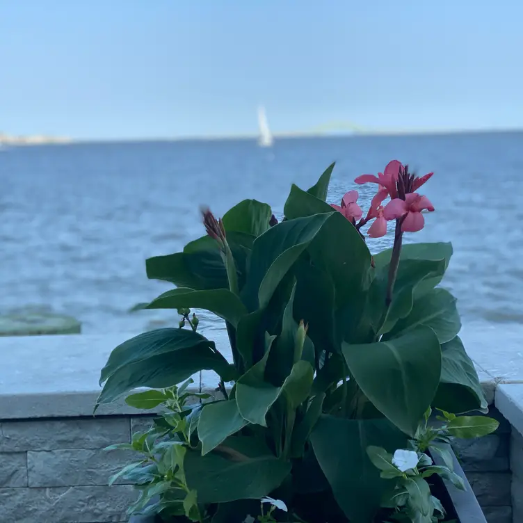 Drift at The Piermont, Babylon, NY