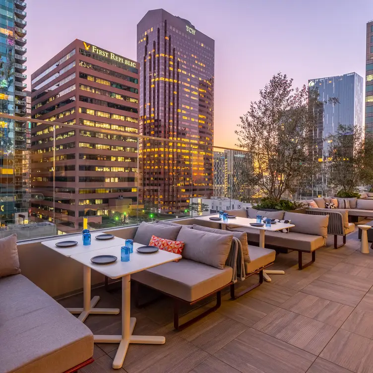 Rooftop at Wayfarer Hotel DTLA，CALos Angeles