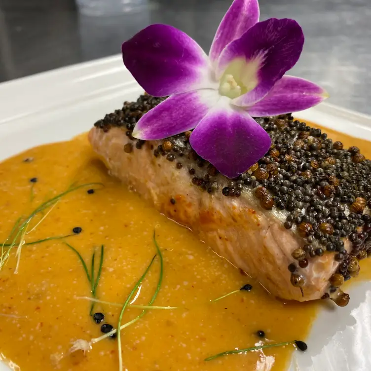 Chu Chee Salmon - Alchemi，MIRoyal Oak