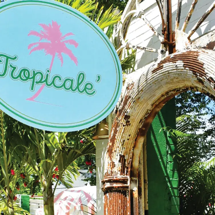 Tropicale, Atlanta, GA