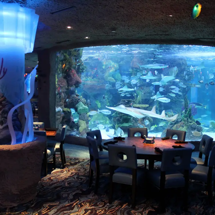 Aquarium Restaurant - Opry Mills, Nashville, TN