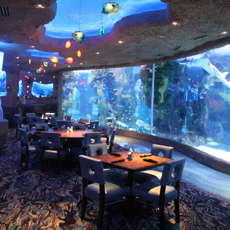Aquarium Restaurant - Opry Mills, Nashville, TN Aquarium Restaurant - Opry Mills, Nashville, TN