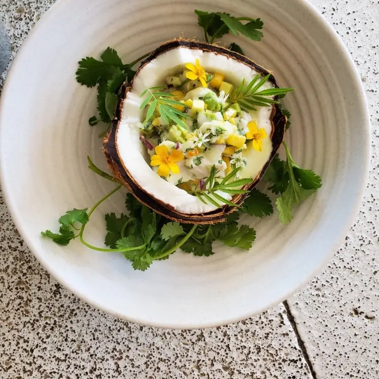 Jose Dallas Restaurant Dallas, TX OpenTable