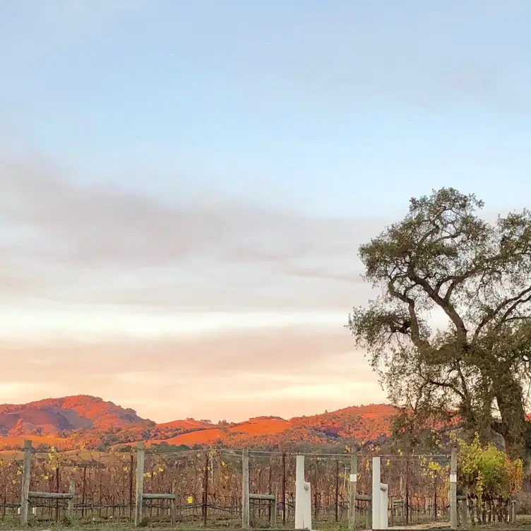 Loxton Cellars CA Glen Ellen