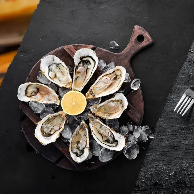 Ocean Oyster Bar Updated 2024, Oyster Bar in Newark, NJ