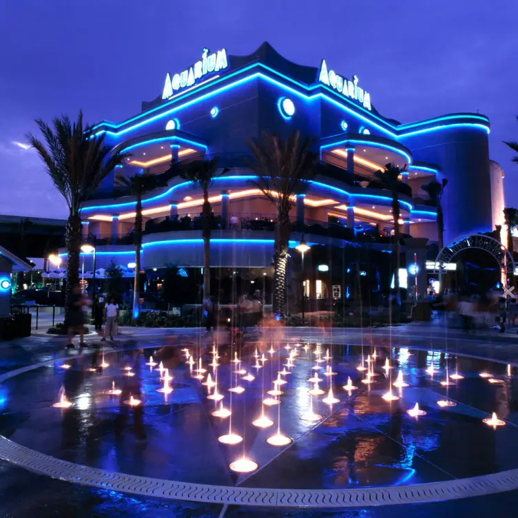 Downtown Aquarium at night  - Downtown Aquarium，TXHouston