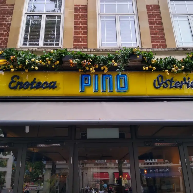 Pino, London, 