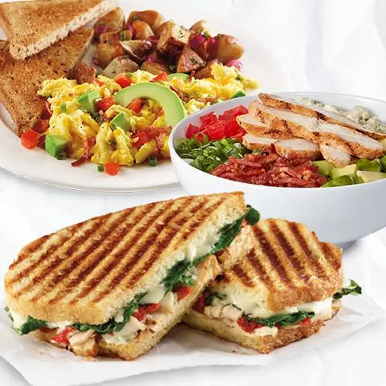 Corner Bakery - Memorial, Houston, TX