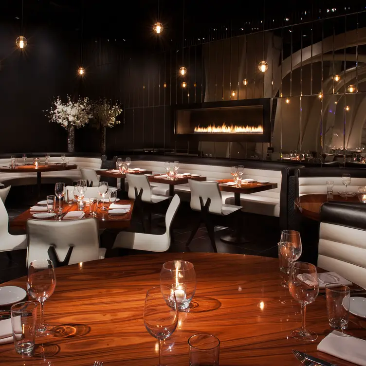 STK - Toronto，ONToronto