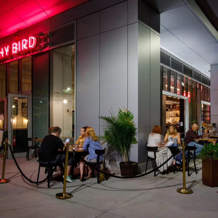 Shy Bird - Kendall Square Restaurant - Cambridge, MA | OpenTable