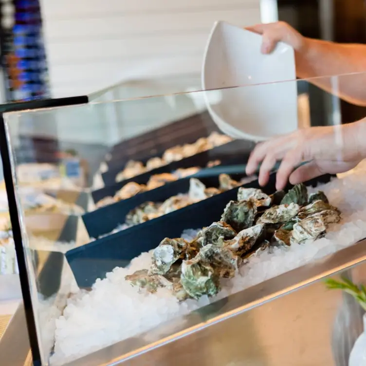 Lovers Seafood And Market Restaurant Dallas, , TX OpenTable