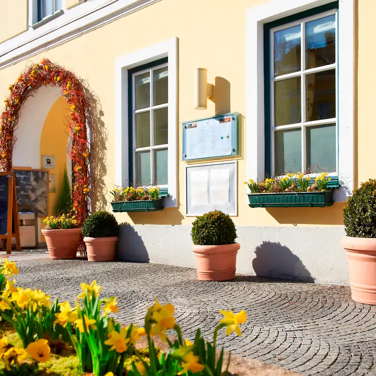 Restaurant Stern Niederosterreich Gmünd