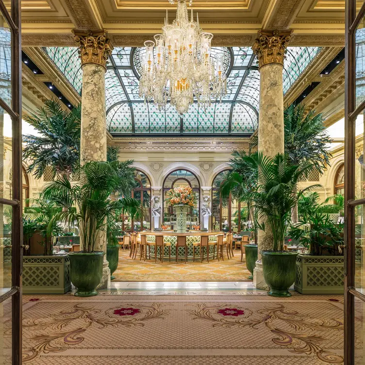 Ambiance  - The Palm Court at The Plaza Hotel, New York, NY