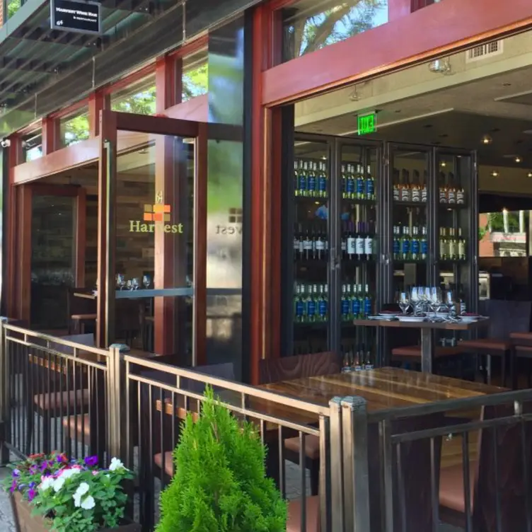 Harvest Wine Bar-West Hartford CT West Hartford