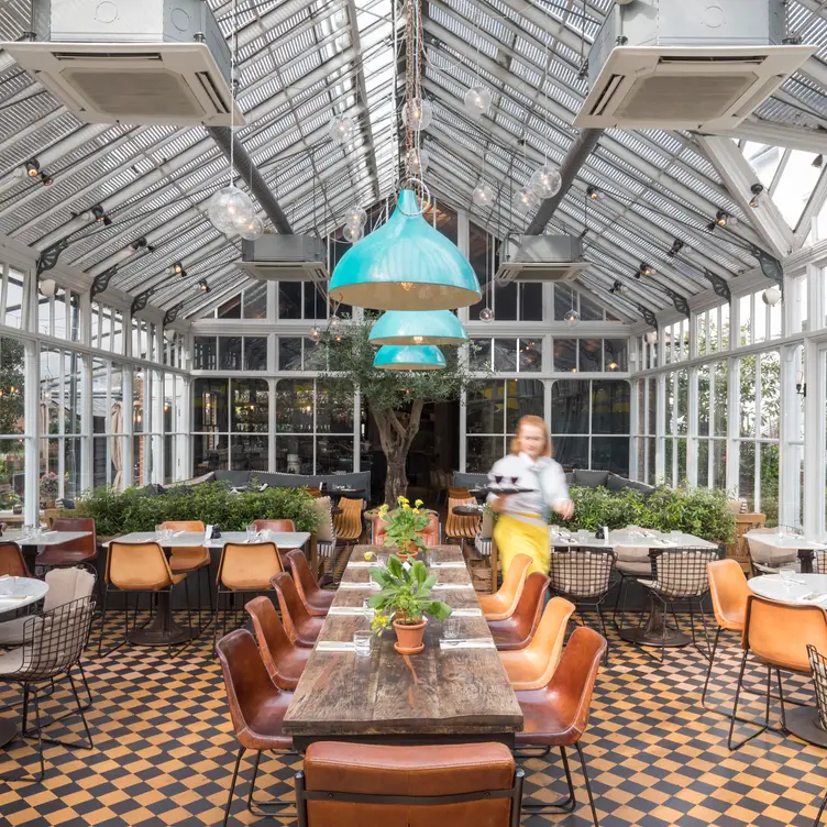 Gees Restaurant set in a Victorian Glasshouse - Gees, Oxford, Oxfordshire