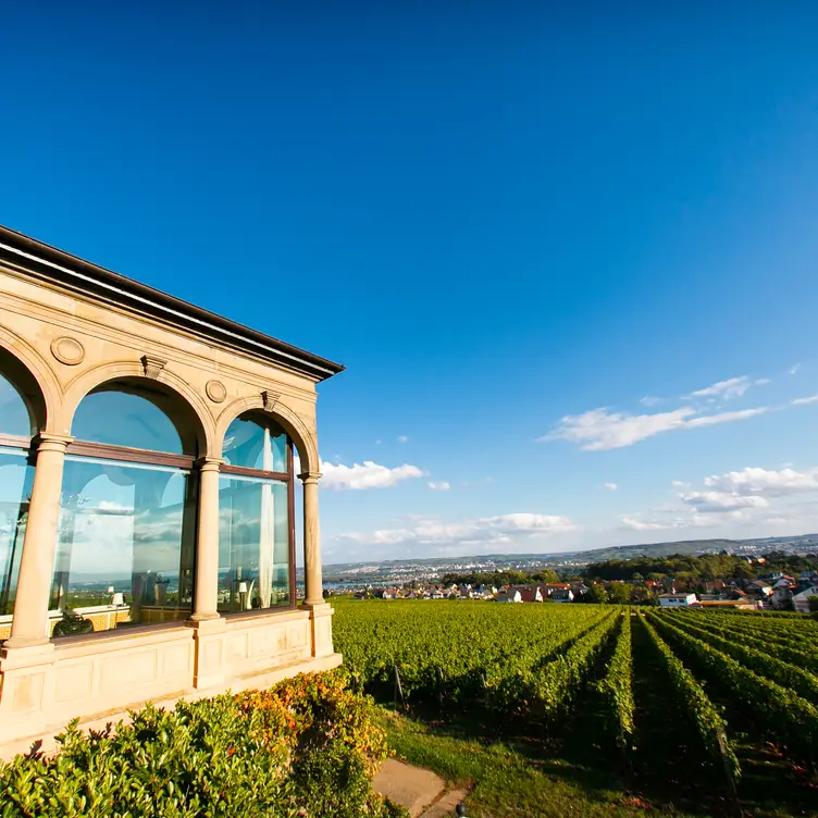 Burg Restaurant Schwarzenstein，HEGeisenheim